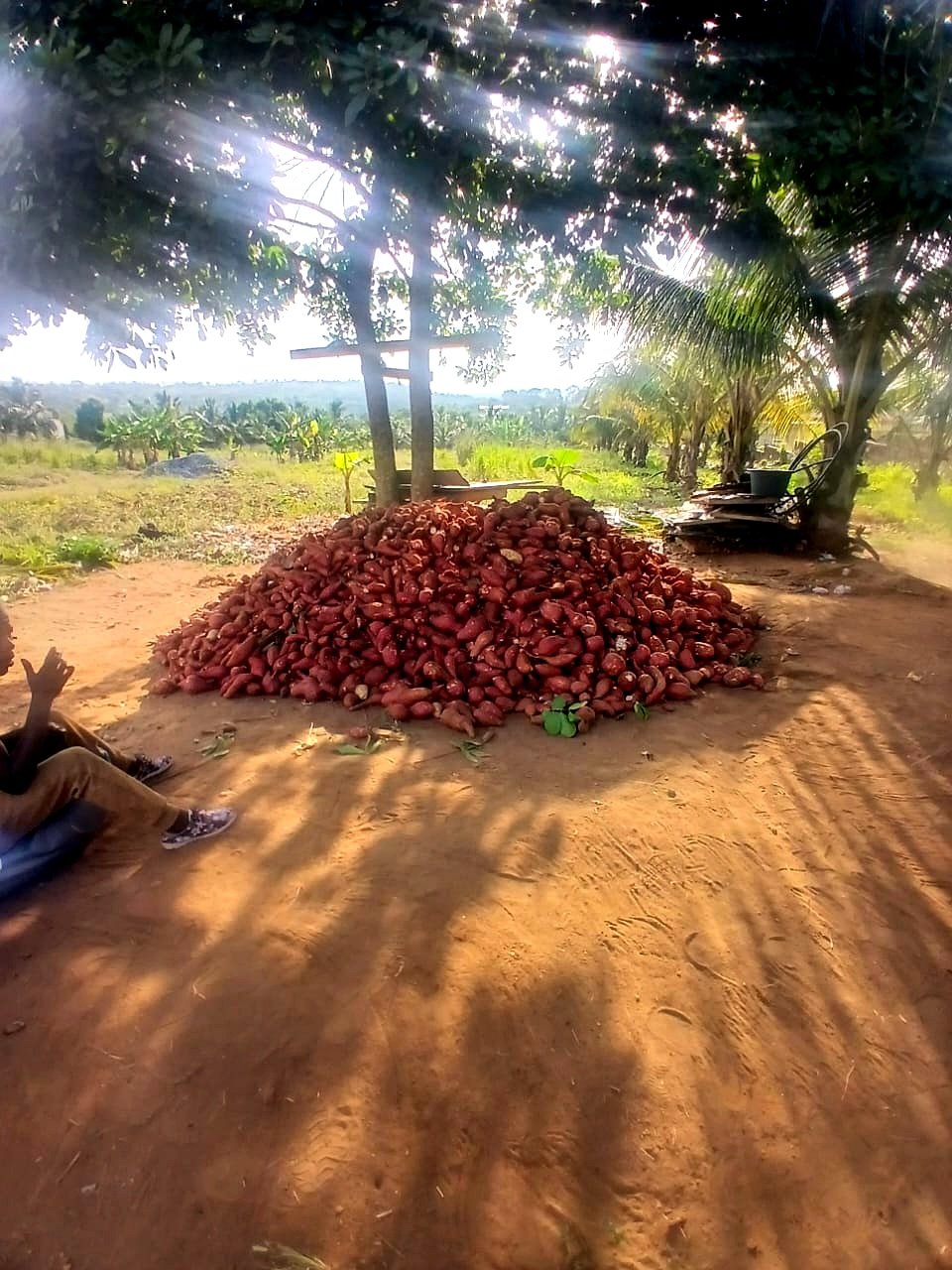 Farm-to-Market Programme